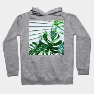 Variegated Monstera Hoodie